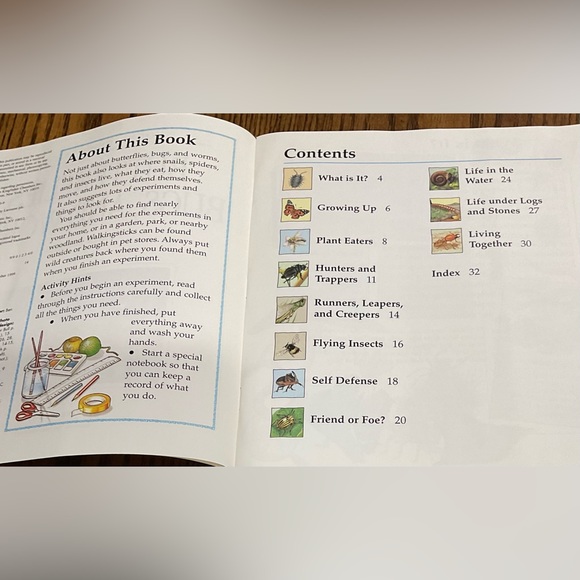 Painting Nature’s Little Creatures & Butterflies, Bugs & Worms BOOKS set - Picture 12 of 13